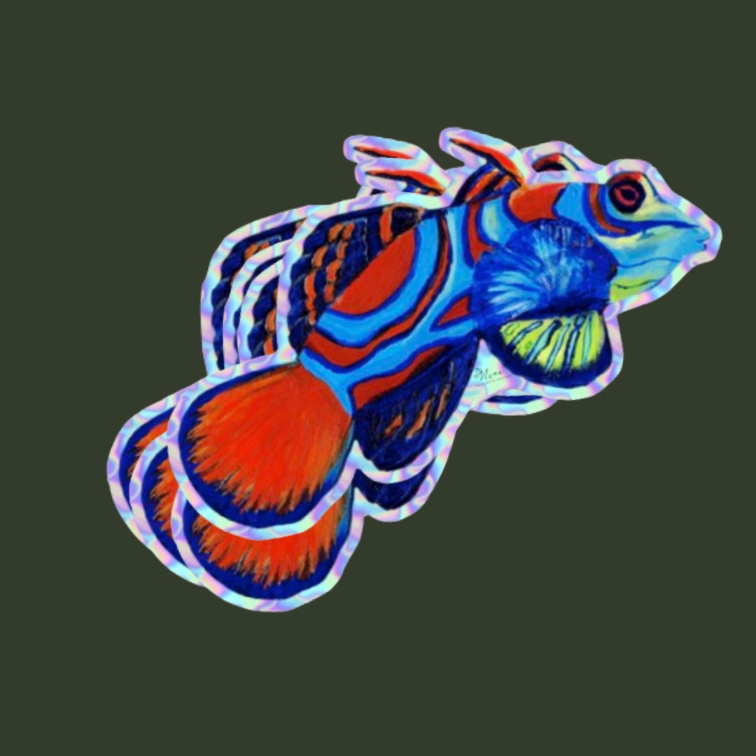 Holo Fish Sticker Set- Saltwater Fish Sticker Set, Saltwater Fish Art, Laptop Sticker, Holo Sticker, Water Bottle Sticker, Reef Tank Art