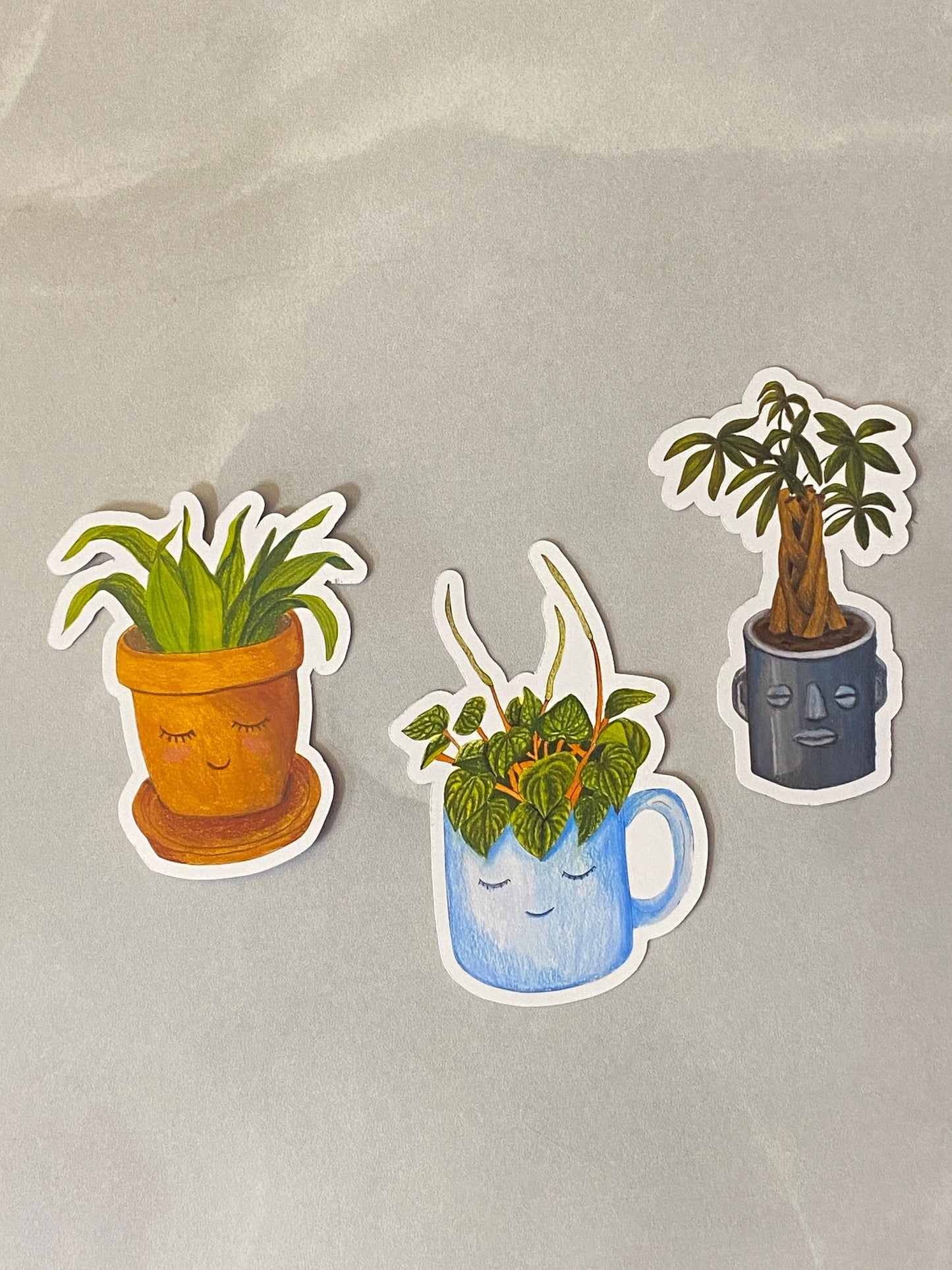 Cute Plant Sticker Set - Set of 3 Stickers, Plant Stickers, Laptop Stickers, Collectible Stickers, Plant Lover Gift, Prize box ideas