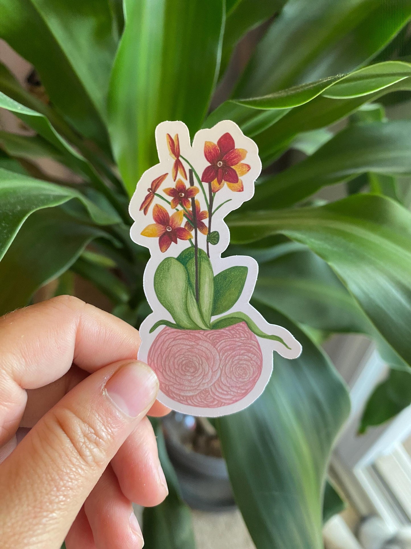 Mystery Plant Sticker Bundle - 5 Plant sticker, Plant Mom Sticker, Laptop Sticker, Water Bottle Sticker, Set of 5 Stickers, Surprise Bundle