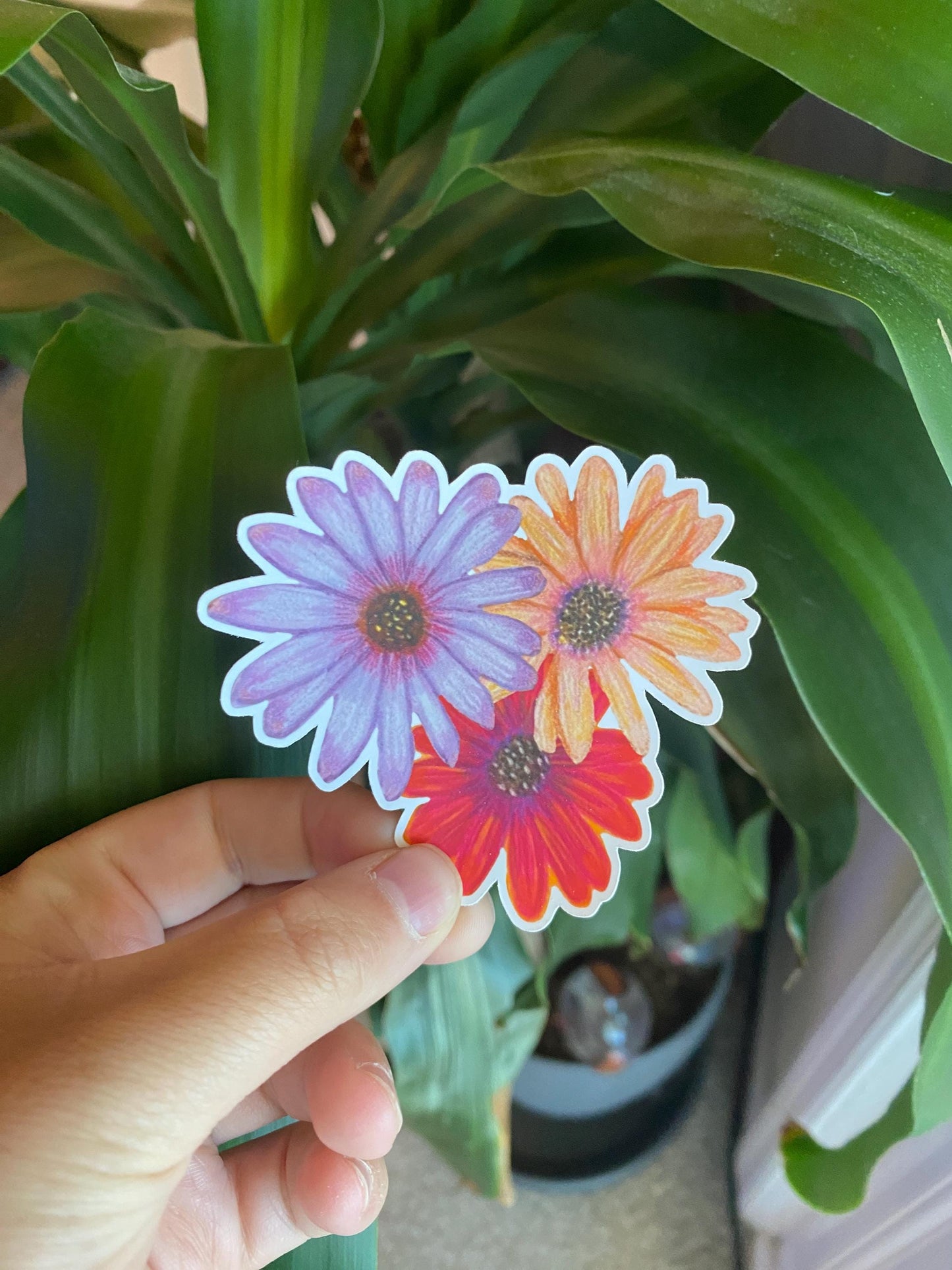 Mystery Plant Sticker Bundle - 5 Plant sticker, Plant Mom Sticker, Laptop Sticker, Water Bottle Sticker, Set of 5 Stickers, Surprise Bundle