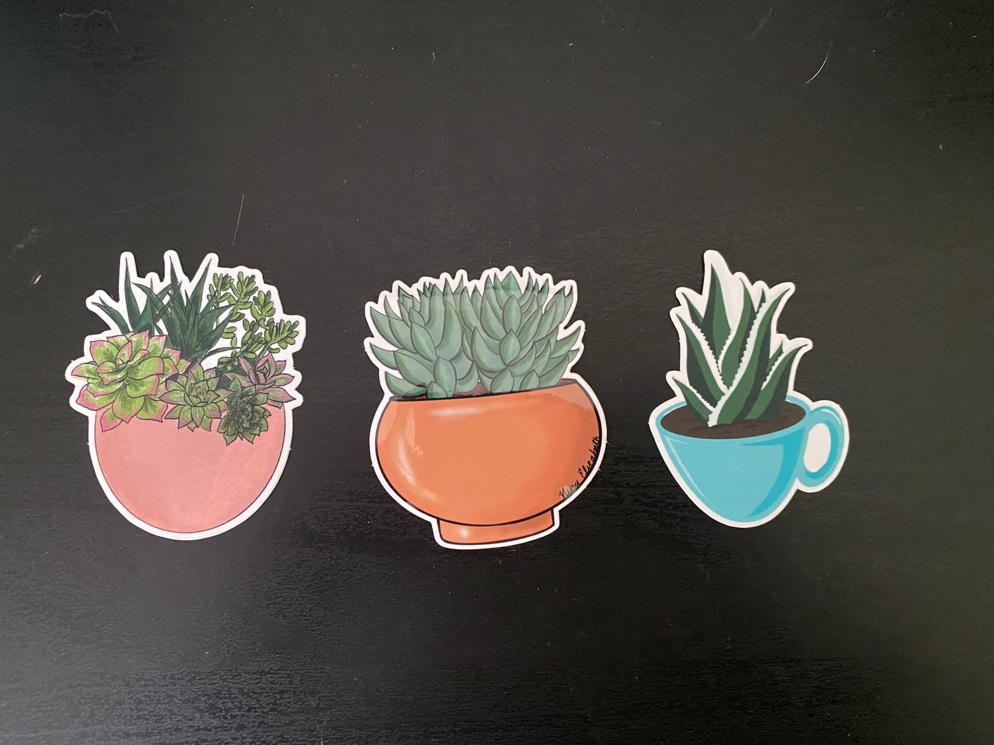 Mystery Plant Sticker Bundle - 5 Plant sticker, Plant Mom Sticker, Laptop Sticker, Water Bottle Sticker, Set of 5 Stickers, Surprise Bundle