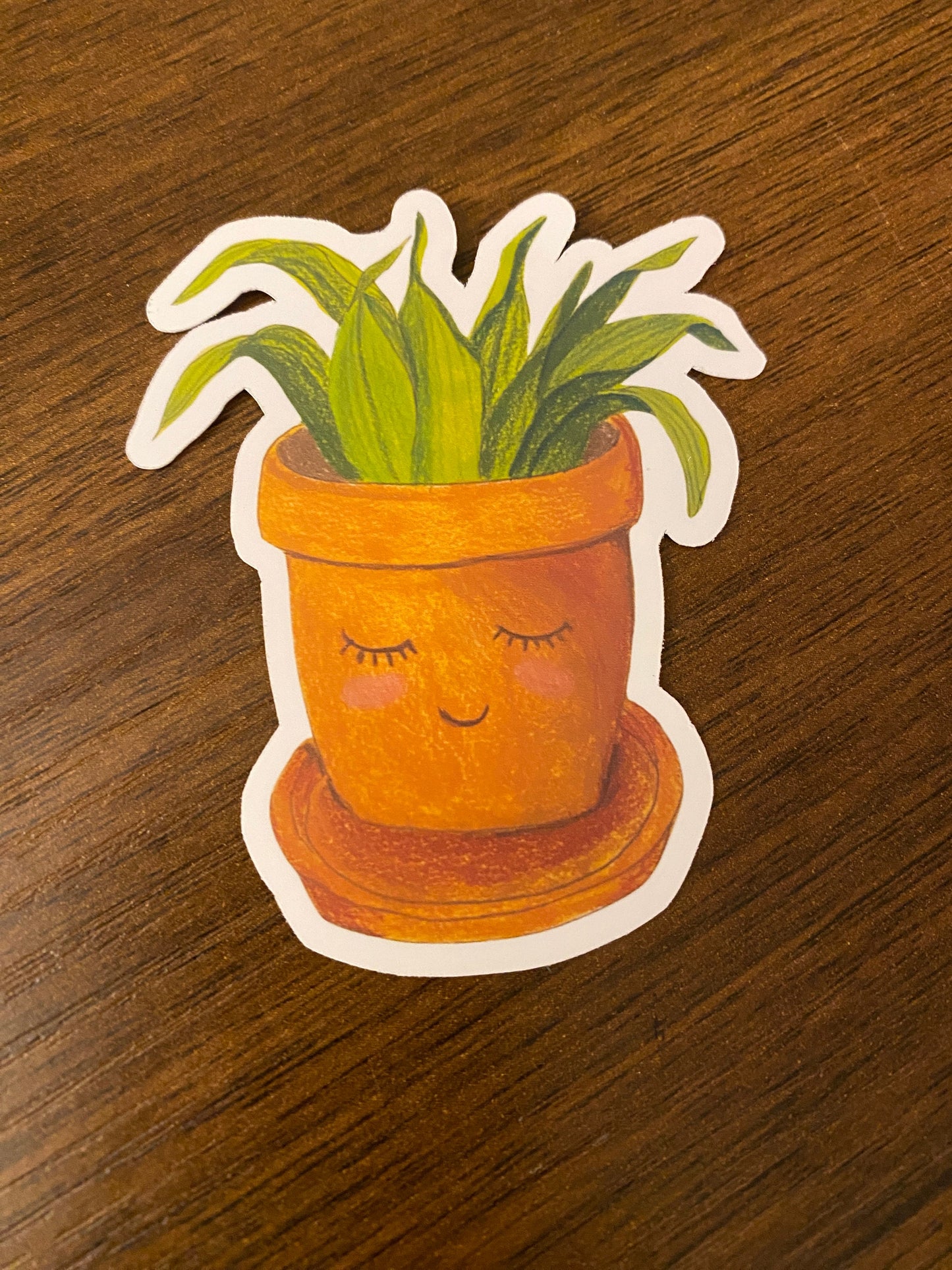 Cute Plant Sticker - Smiling Plant sticker, Plant Mom Sticker, Laptop Sticker, Water Bottle Sticker, Plant Decal, Plant Lover Gift,
