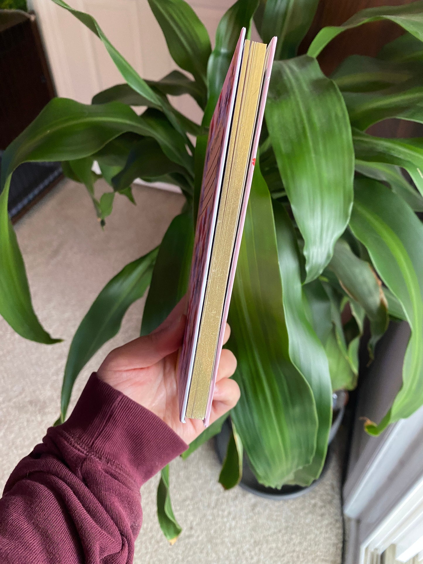 Mini Day Planner Notebook - Hard Cover Schedule planner, Botanical stationery, Pocket planner, Daily Schedule, Notepad, Hard Back Planner