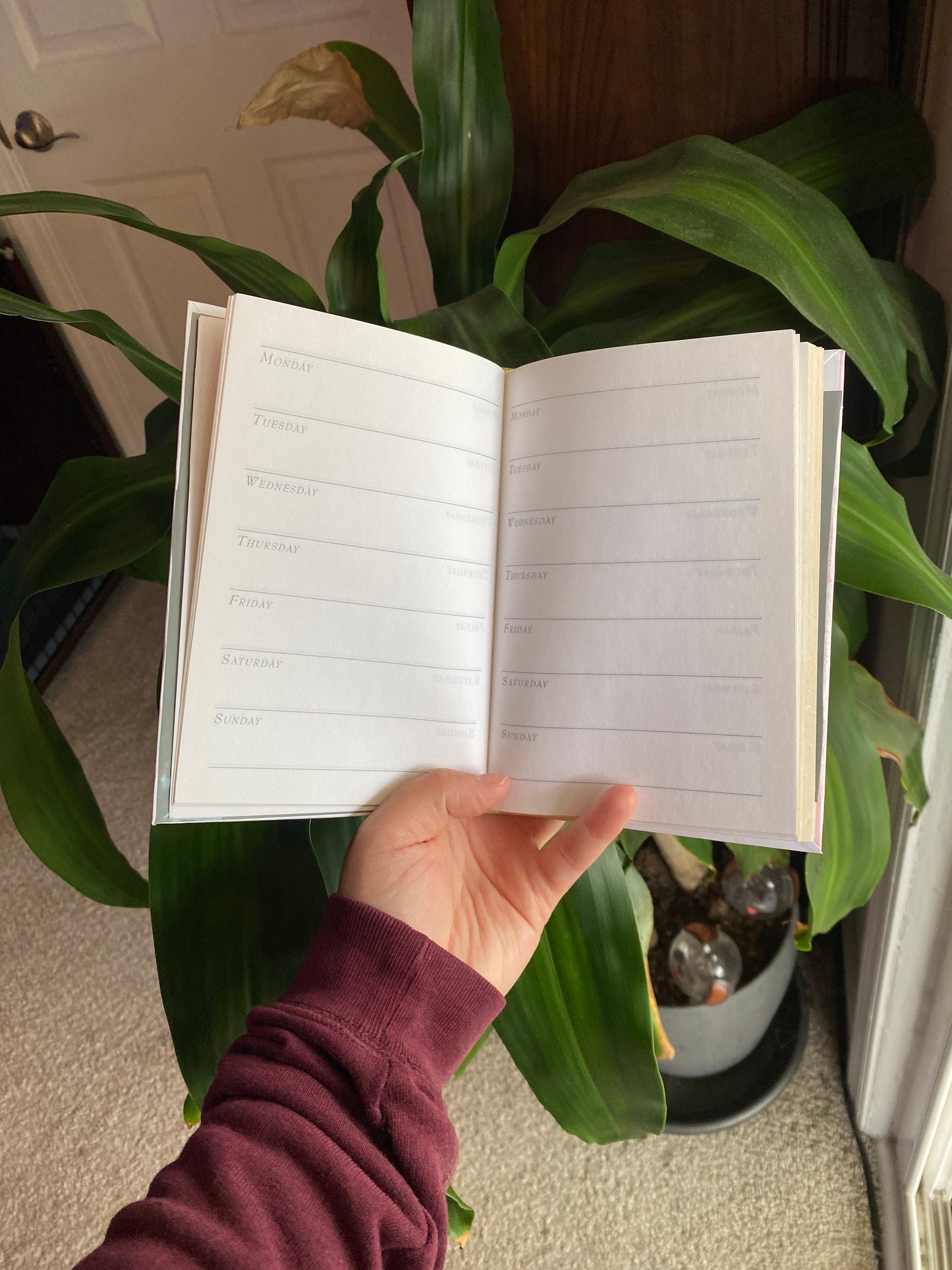 Mini Day Planner Notebook - Hard Cover Schedule planner, Botanical stationery, Pocket planner, Daily Schedule, Notepad, Hard Back Planner