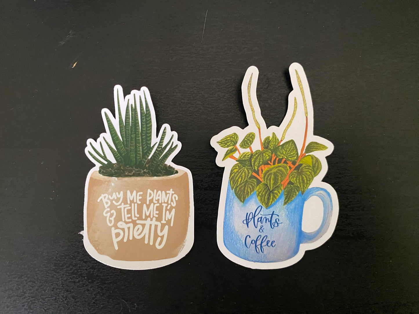 Mystery Plant Sticker Bundle  - 5 Plant sticker, Plant Mom Sticker, Laptop Sticker, Water Bottle Sticker, Set of 5 Stickers, Surprise Bundle