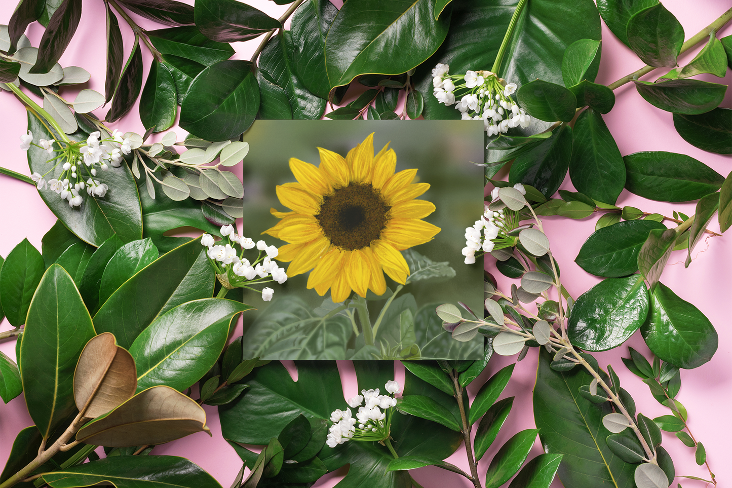 Digital Painting Sunflower Fine Art Print Bridal Gift Gift for HerSunflower Wall Art Botanical Art Sunflower Home Decor Botanical Print